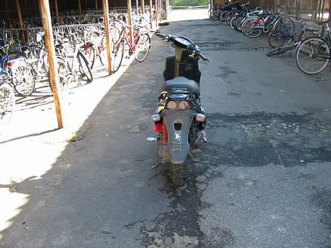 PGO Hot50  - shake ass :D billede 6