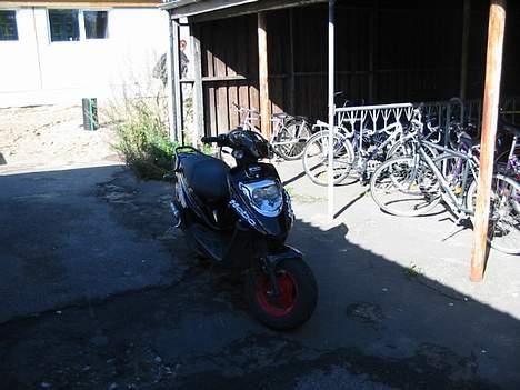 PGO Hot50  - så fræk hun er billede 8