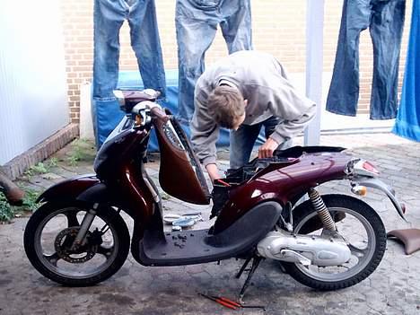 Yamaha Why billede 1