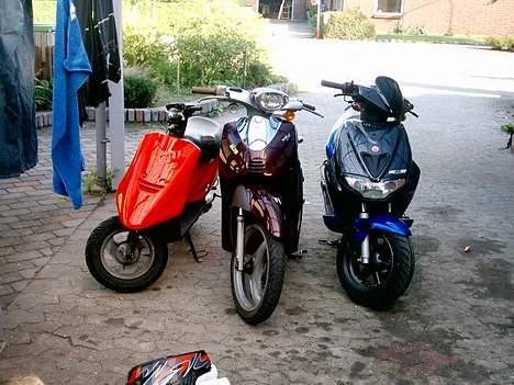 Yamaha Why billede 6