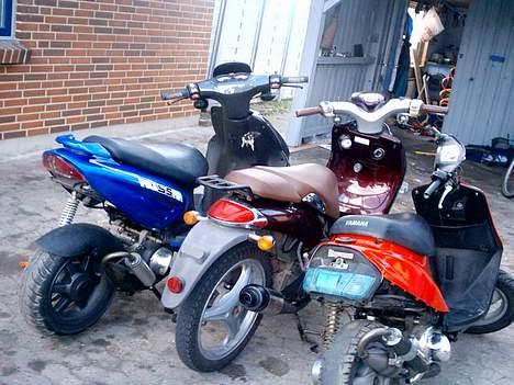 Yamaha Why billede 7