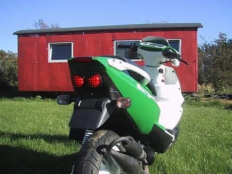 PGO Dr. big Tuborg - SOLGT! billede 4