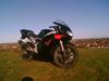 Aprilia rs 50 (SOLGT) [Tidl. scooter]