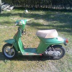 Honda melody 