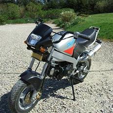 Skyteam PBR 125 Nonda nice