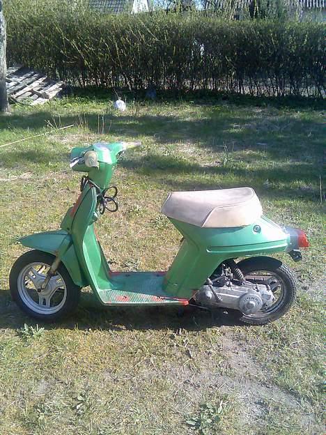 Honda melody  billede 1