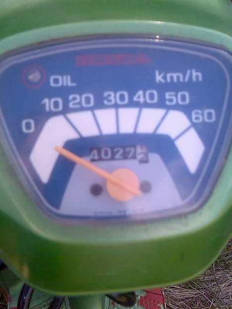Honda melody  billede 3