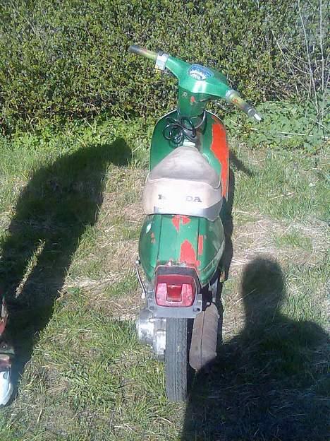 Honda melody  billede 4