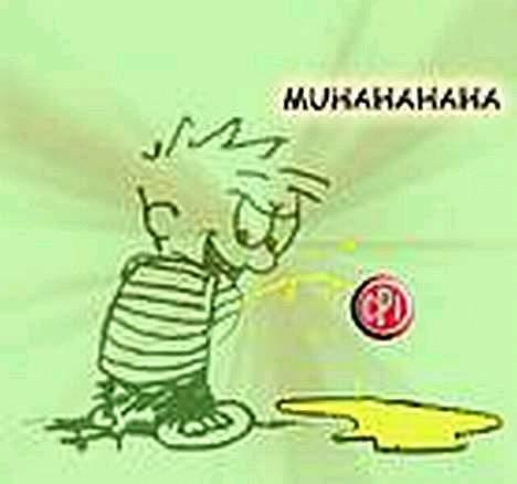 Kreidler 5g rs florett billede 4