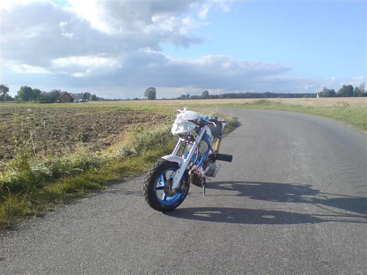 Suzuki Street MagiC  Solgt billede 12