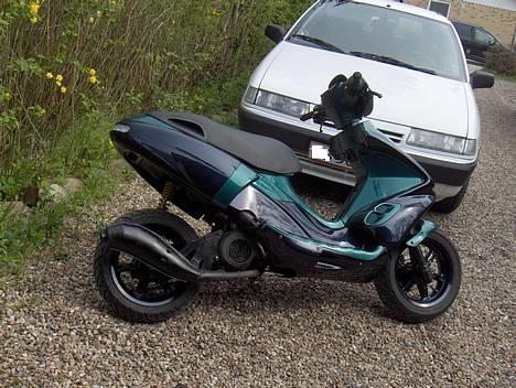 Benelli 491 ST //  SOLGT! // billede 6