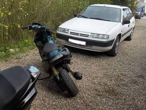 Benelli 491 ST //  SOLGT! // billede 9