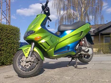 Gilera         Runner PATA NEGRA - nok det bedte billede jeg har taget... min mening billede 4