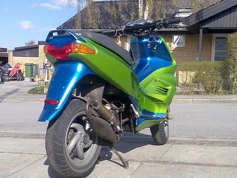 Gilera         Runner PATA NEGRA - jaah ikk et så godt billede med de bliver alle sammen udskiftet nar den er færdig billede 6