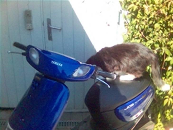 Yamaha Jog Space Innovation - Sådan så den så ud inden jeg begyndte med at lave den om, utroglig grim med standard lygte glas. billede 13