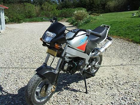 Skyteam PBR 125 Nonda nice billede 1