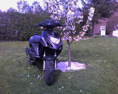 CPI Oliver City billede 6