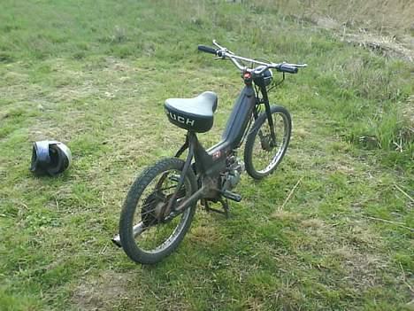 Puch maxi til (byttet) - og her har den sørme sneget sig ind foran kameraet igen.. :P billede 7