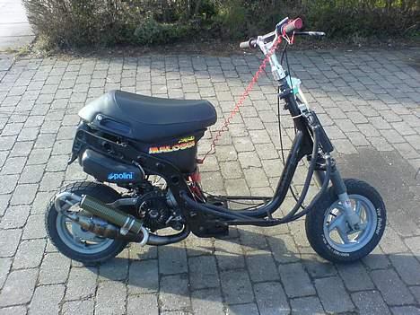 Piaggio Zip Old Lc - | Solgt | - zippen i profil billede 1