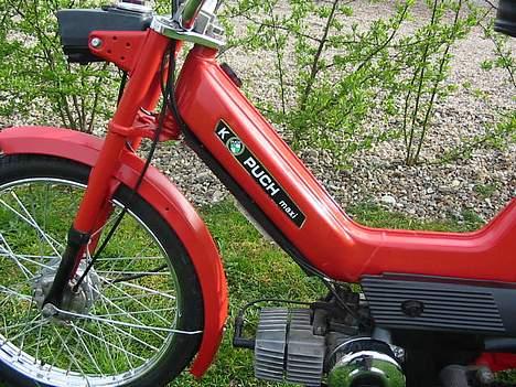 Puch Maxi k "SOLGT" billede 7