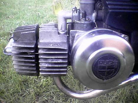 Puch maxi K (solgt) billede 5