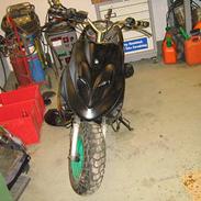 Adly Silverfox *solgt*