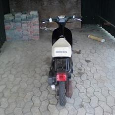 Honda Melody - SOGLT