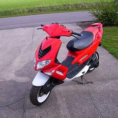 Peugeot Speedfigth 2 206 Solgt