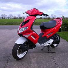 Peugeot Speedfigth 2 206 Solgt