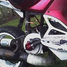 Yamaha Slider evo Projekt Lc