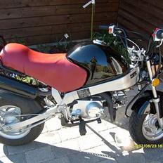 Skyteam pbr 50 solgt for 6000