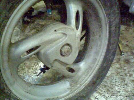 PGO hot 50 (solgt) billede 14