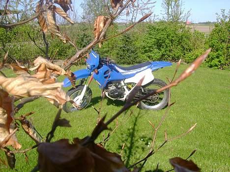 Suzuki RMX LC DD solgt :( - nyeste fra den 21/4-07 billede 9