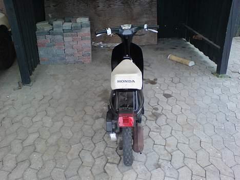 Honda Melody - SOGLT billede 2