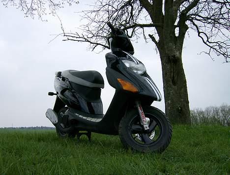 Honda SFX billede 2