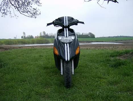 Honda SFX billede 3
