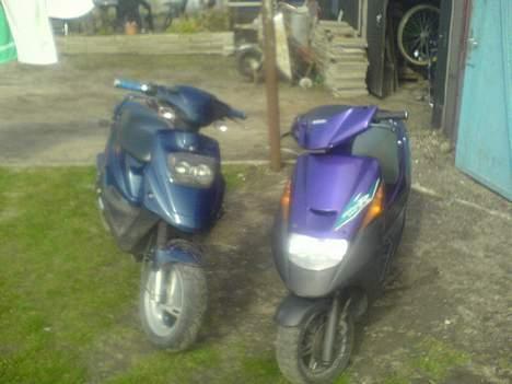 PGO hot 50 (solgt) - min suzuki og hot  billede 19