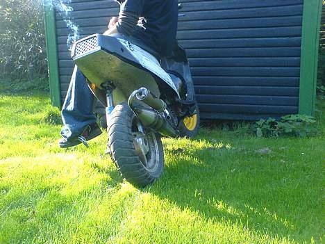 PGO hot 50 TOHJULERNE - Med min TP Nardo på :) billede 5