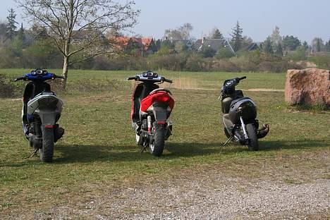 Aprilia Sonic (Solgt) - Min sonic til højre, Kylles SF i midten, Lasses SF til Venstre. billede 10