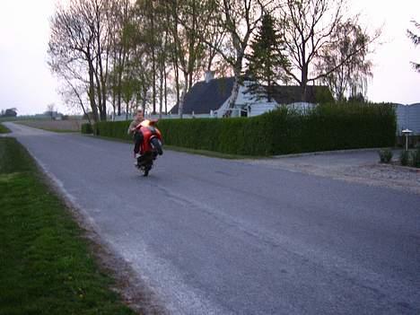 Piaggio zip gl BYTTET TIL 4G billede 2