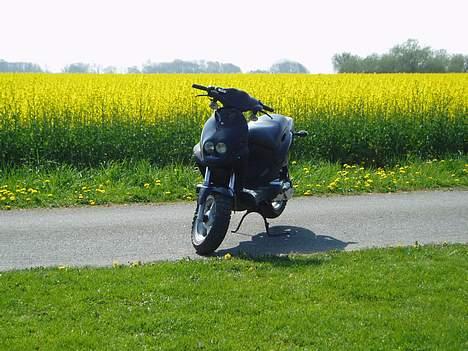 PGO pmx sport - nu billede 3