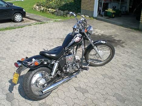 Regal Raptor SOLGT billede 17