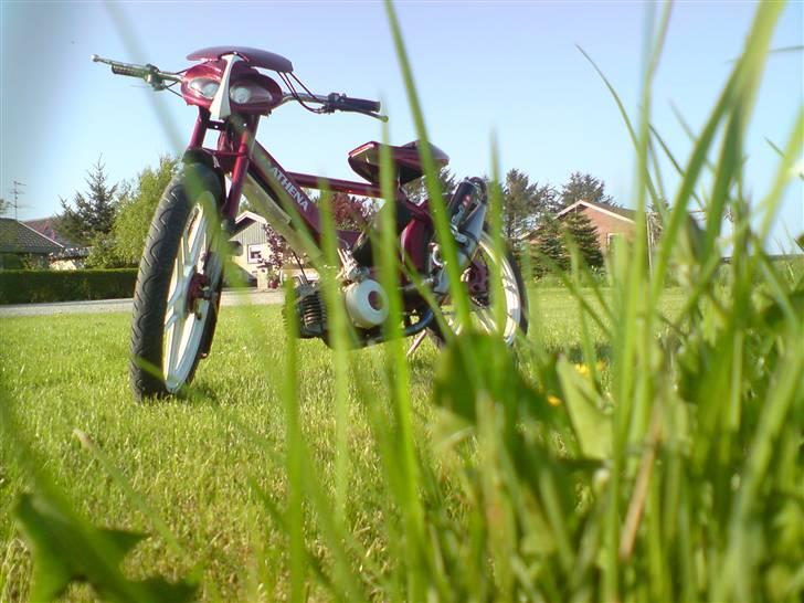 Puch Maxi 2g !!Tjek den ud!! billede 20