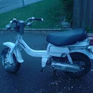 Suzuki fz50