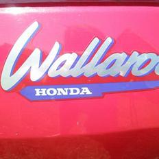 Honda wallaroo tilsalg