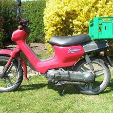 Honda wallaroo tilsalg