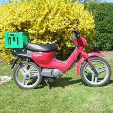 Honda wallaroo tilsalg