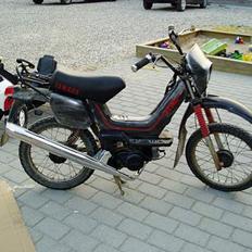 Yamaha Sting SG50 (Byttet)