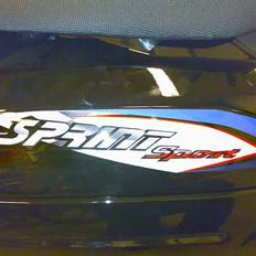 Giantco sprint sport