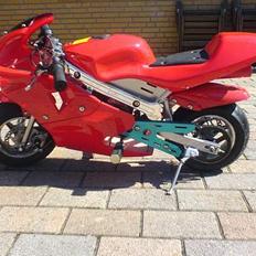 MiniBike Daytona